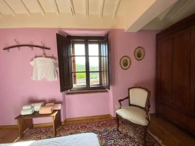 Podere Terreno alla via della volpaia - 30