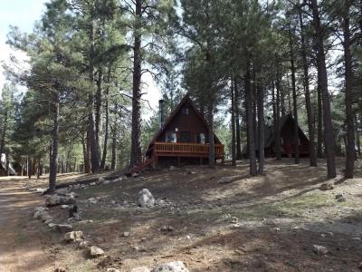 Arizona Mountain Inn & Cabins - 85