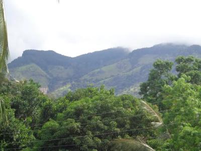 Anura Guest Inn - 26