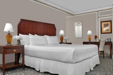 Boston Park Plaza - 27