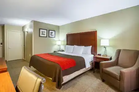 Comfort Inn Downtown - 26