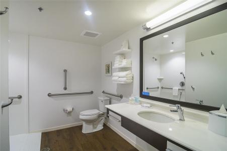 Hampton Inn Chicago North-Loyola Station, Il - 43