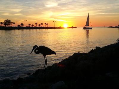 A Beach Retreat on Casey Key - 20