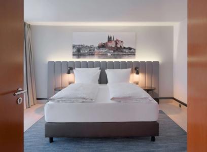 Radisson Blu Park & Conference Centre - 87