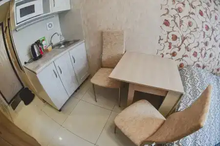 Солнечный Питер - 10