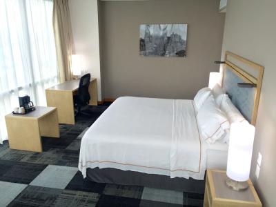 Holiday Inn Express Mexico Reforma - 39