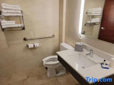 Holiday Inn Express Maspeth, An Ihg - 61