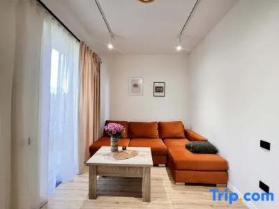 Motives Inn - 133