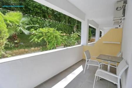 Tropical - 222