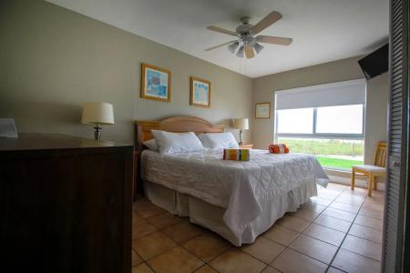 Shore View - 30
