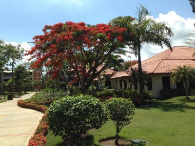 BelleVue Dominican Bay - Все включено - 14