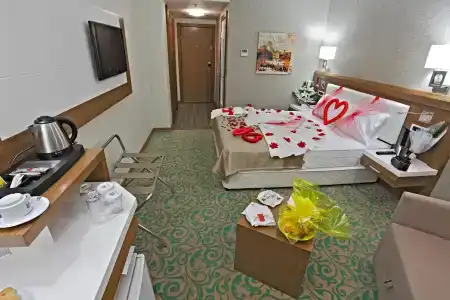 Selcuk Sems-i Tebrizi - 25