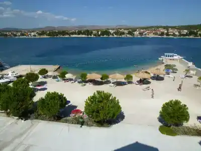Spongiola - 185