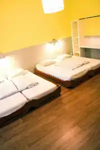 Sunflower Hostel Berlin - 39