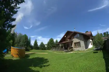 Снежные Гуси - 16