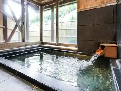 Ichinomata Onsen Kanko - 8
