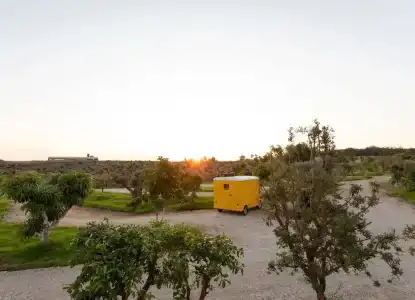 Dream Island Spa & Health - 12
