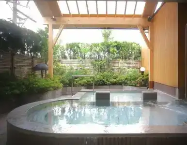 Ryokan Tatami - 18