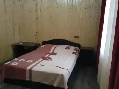 Георгина - 7