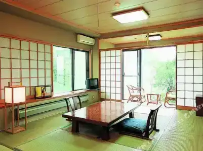 The Fujiyama - 10