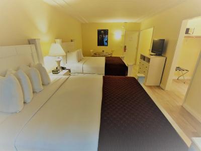 Hollywood Celebrity - 2