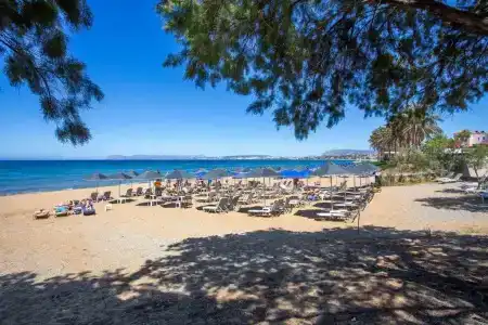 Eden Beach - 99