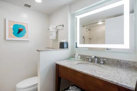 Holiday Inn Orlando – Disney Springs™ Area, An Ihg - 100