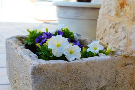 Trulli Antica Fonte - 32
