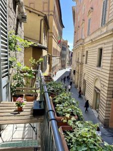 Piccolo Etruria - 47