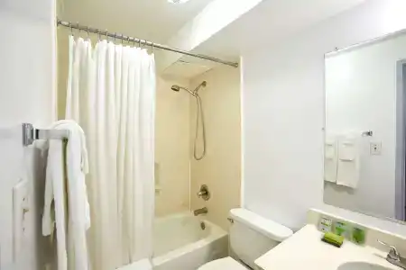 Ewa Waikiki - 9
