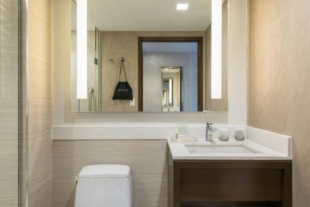 Holiday Inn Brooklyn Downtown, An Ihg - 31
