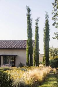 Casale Sterpeti - 22