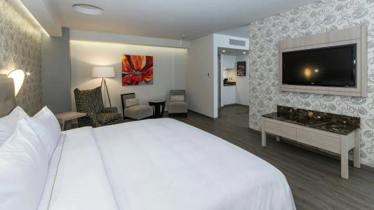 Holiday Inn Express Mexico- Toreo, An Ihg - 27