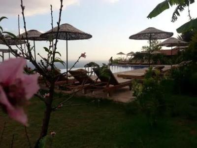 Olive Garden Kabak - 18