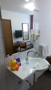 Pension Haus Diefenbach - 22