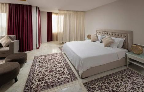 Ramada Plaza Tunis - 115