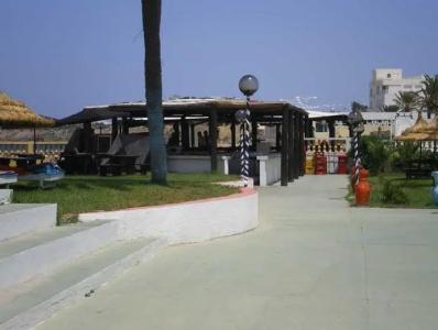 Les Palmiers - 37