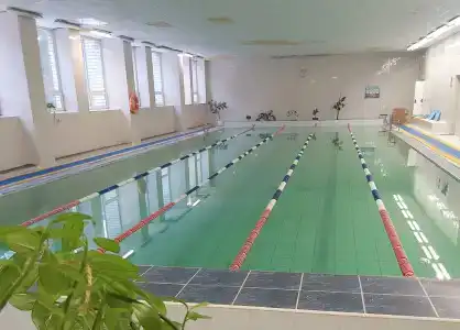Сосны - 1