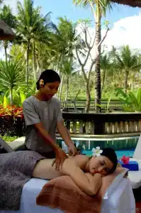 The Ubud Village Resort & Spa - 41