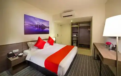 Riccarton Capsule - 20