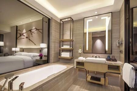 DoubleTree by Hilton Shenzhen Longhua - 43