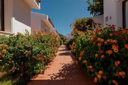 Fior di Sardegna - 49