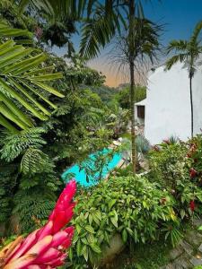 Les Jardins de Rio Boutique - 37