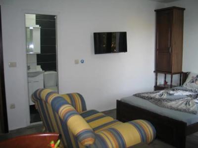 Guest House Dena - 98