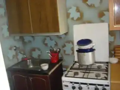 Элона - 12