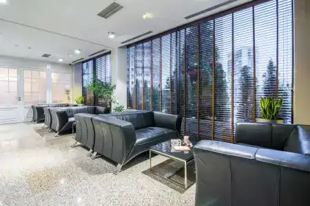 Olives City - 1