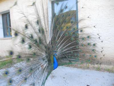 Borgo di Campagna - 18