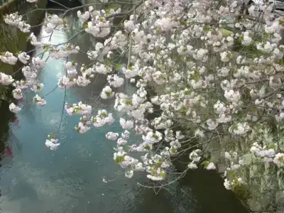 Plaza Fujinoi - 15