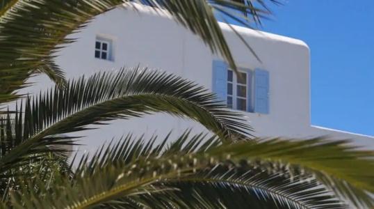 Dionysos Luxury Mykonos - 100