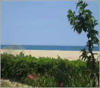 Plage des Pins - 47